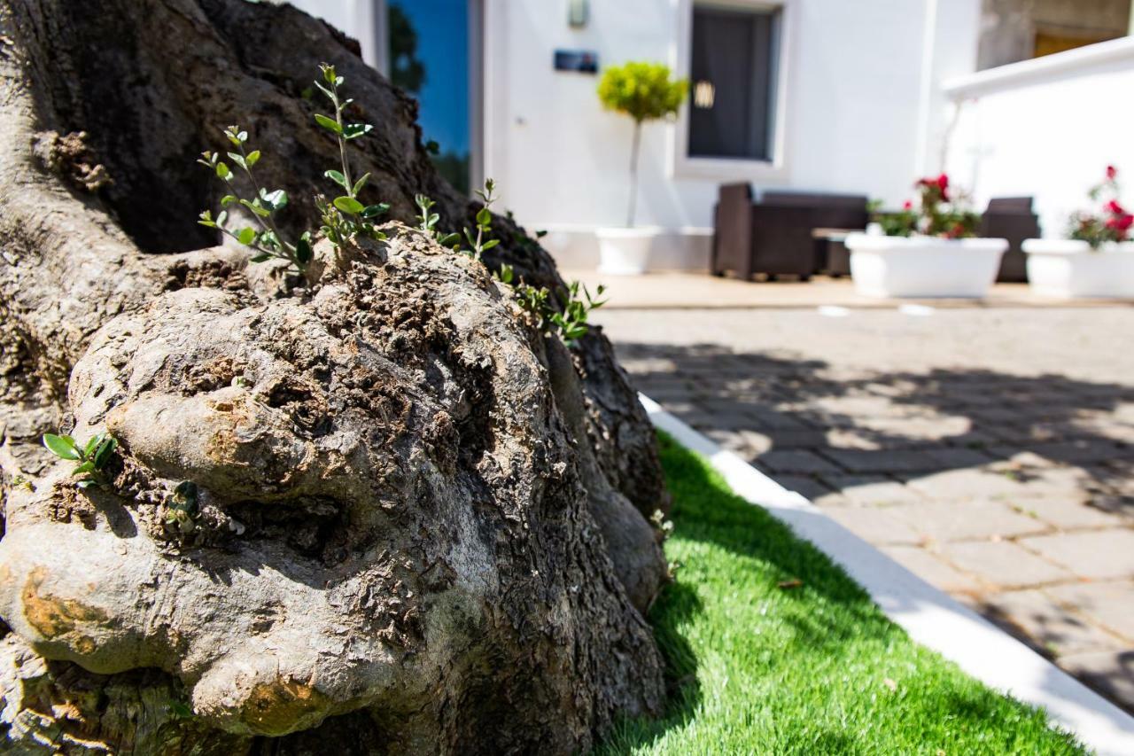 Dal Signor Wolf Bed & Breakfast Pezze Di Greco Dış mekan fotoğraf